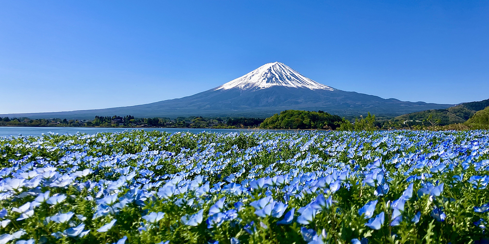 河口湖温泉協同旅館組合